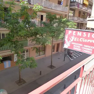 Pensión El Ciervo, Lloret de Mar
